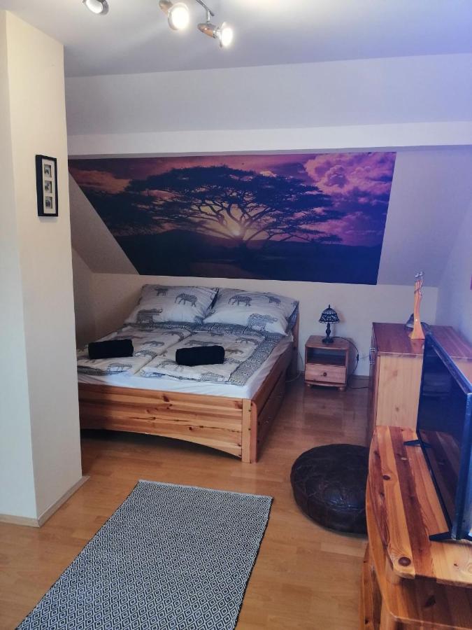 Elza Apartman Makó Exterior foto
